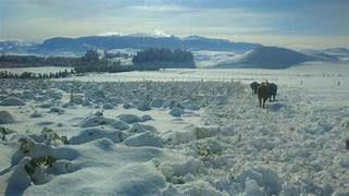 SEREMI DE AGRICULTURA LLAMA A LA PREVENCION ANTE ANUNCIO DE NEVADAS